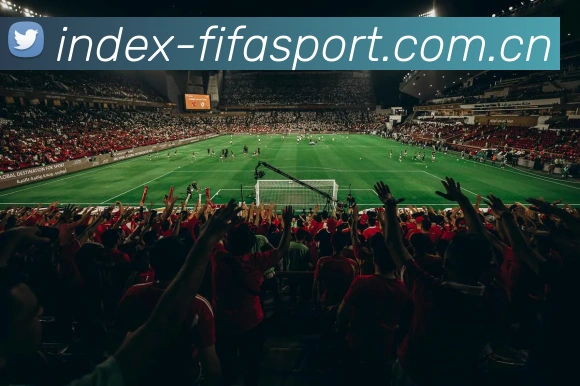 FIFA官方数据授权认证